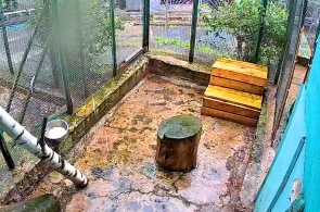 Minizoológico do Centro Ecológico e Biológico. Webcams de Petrozavodsk