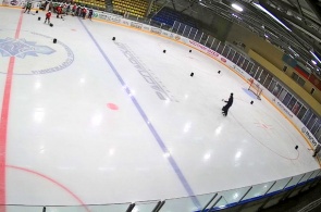 Cristal do Palácio de Gelo. Ângulo 2. Webcams de Mezhdurechensk online