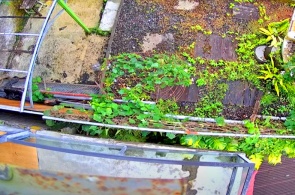 Terraço do Arroz do Café. Webcams Bali