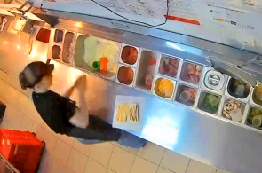 Pizzaria Dodô Pizza. Webcams de Tula on-line